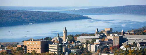 1636866739372760.png 03-500.png