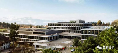 1636867917417969.jpeg 02-500.jpg