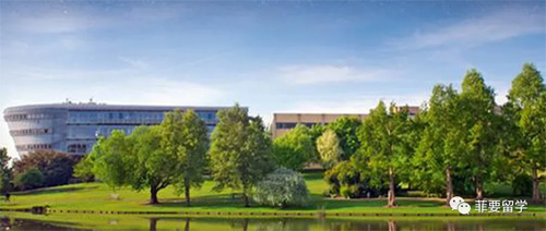 1662393862369041.jpeg 01-500.jpg