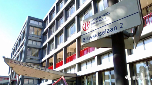 1662469888405732.jpeg 01.jpg