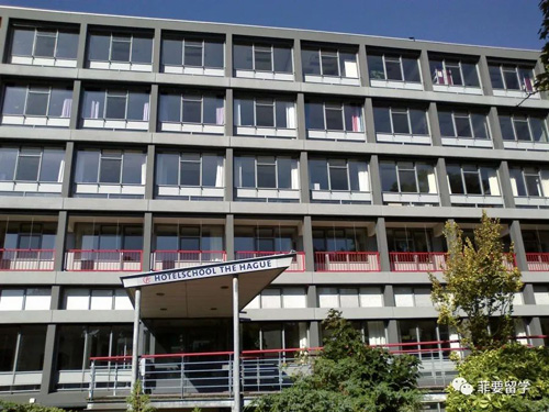 1662469915667412.jpeg 02.jpg