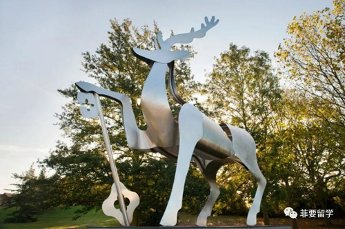 1662541467282614.jpeg 02.jpg