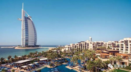 1662559721874989.jpeg 03.jpg