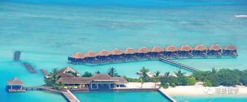 1662622076402766.jpeg 02.jpg