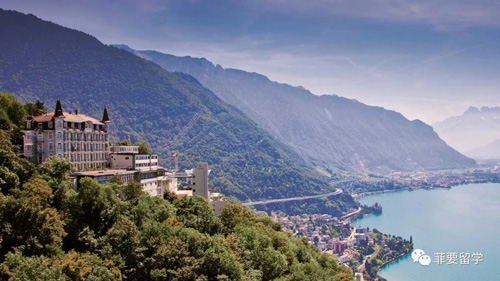 1662727101917317.jpeg 03.jpg