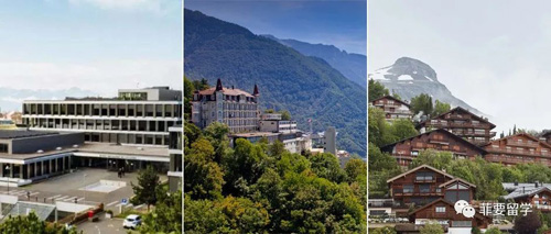 1662727119730995.jpeg 04.jpg