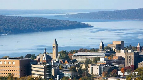 1679750016636809.jpeg 03-500.jpg