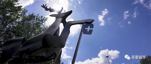 1715870656589644.jpeg 萨里大学500.jpg